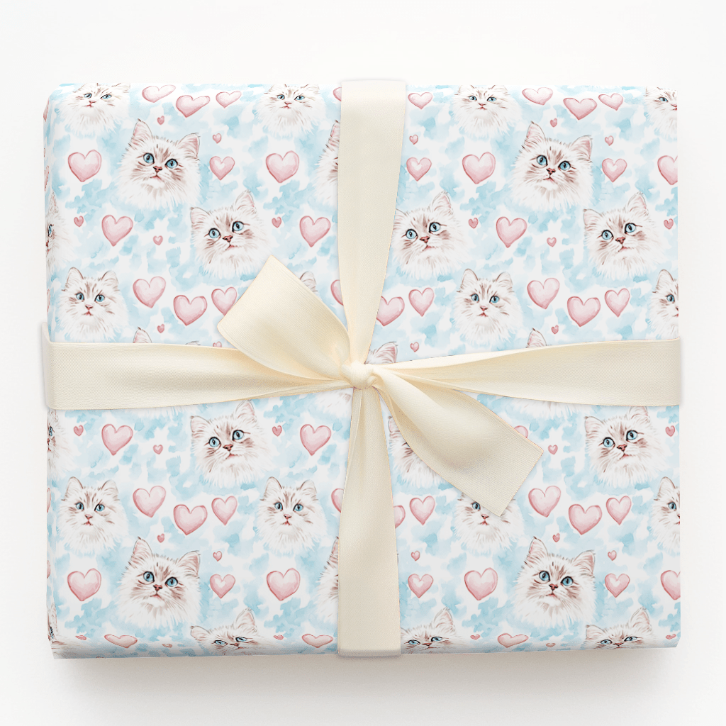 American Wirehair Valentine - Wrapping Paper - Aspen & Arlo