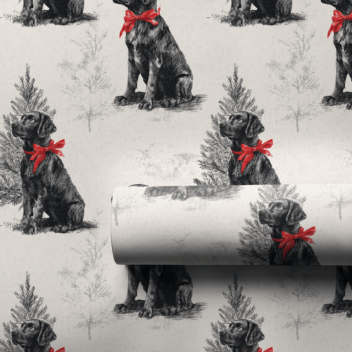 Black Belle - Wrapping Paper - Aspen & Arlo