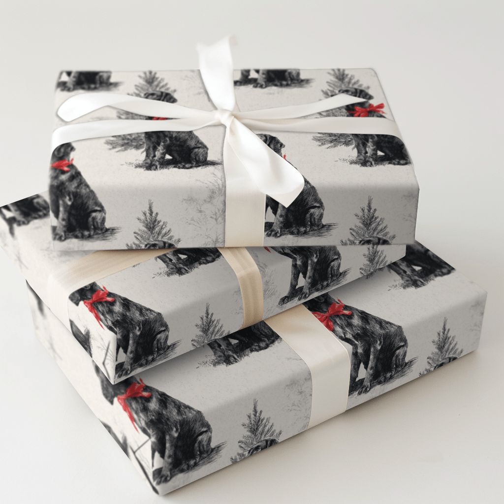 Black Belle - Wrapping Paper - Aspen & Arlo