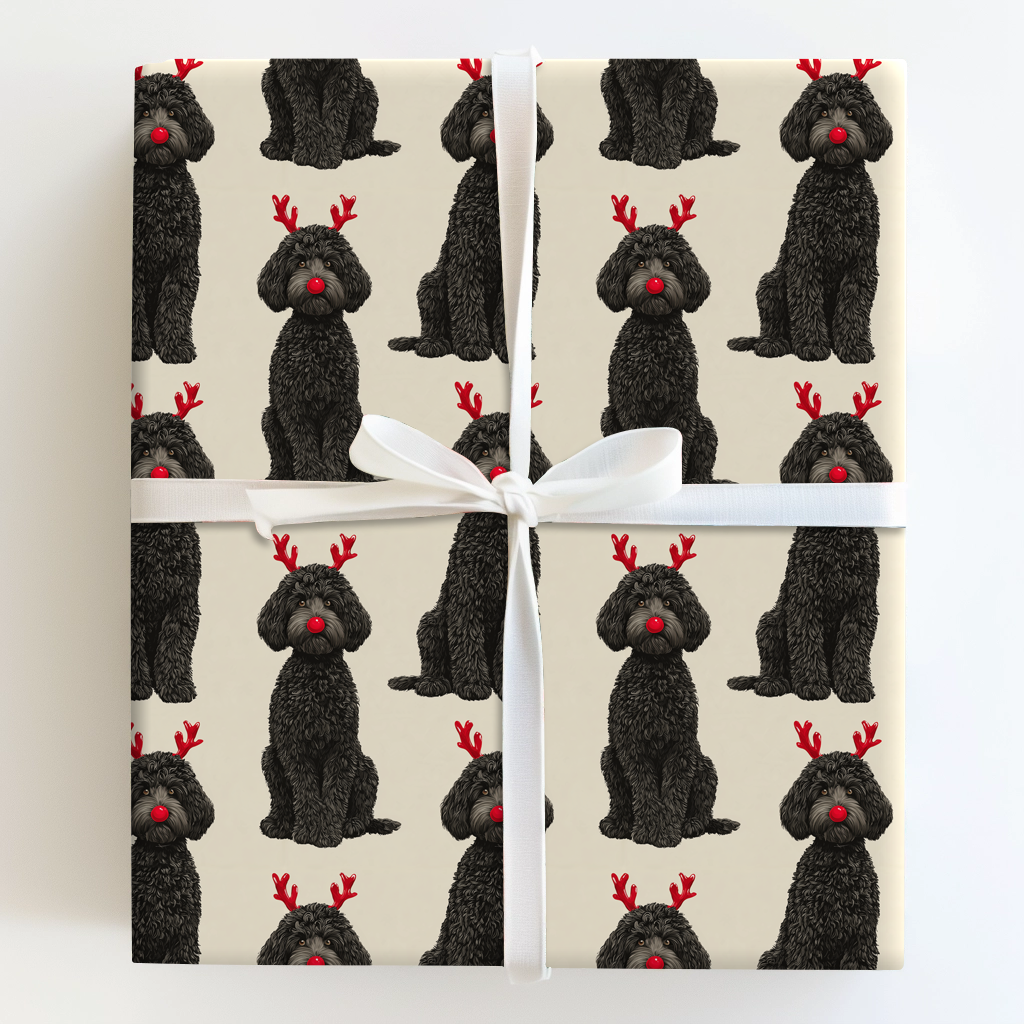 Rudolph the Black Goldendoodle