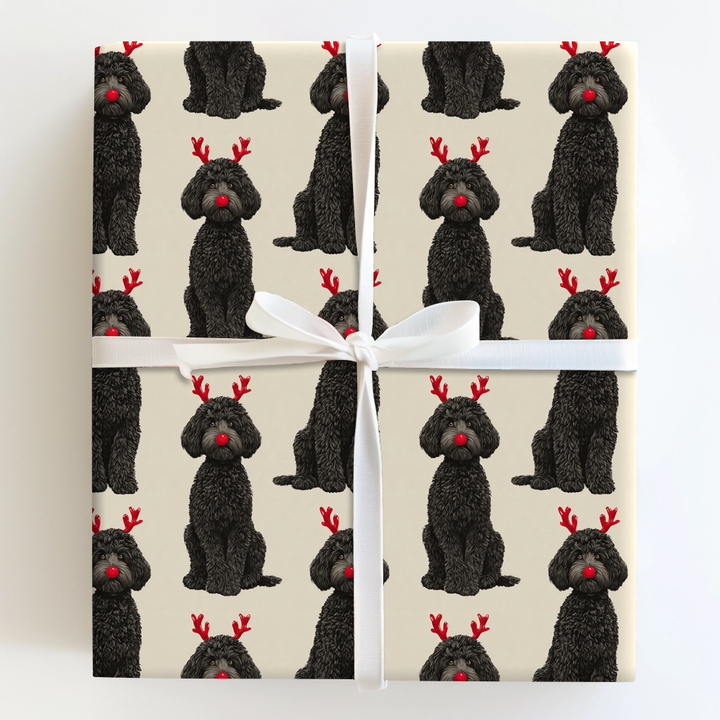 Rudolph the Black Goldendoodle