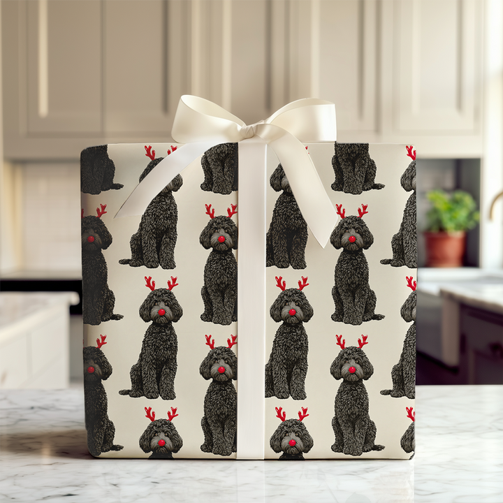 Rudolph the Black Goldendoodle