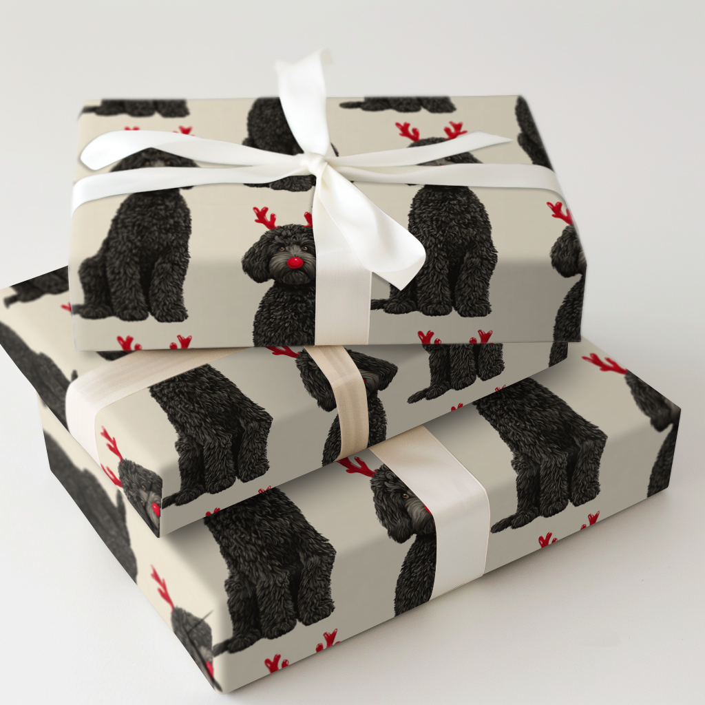 Rudolph the Black Goldendoodle