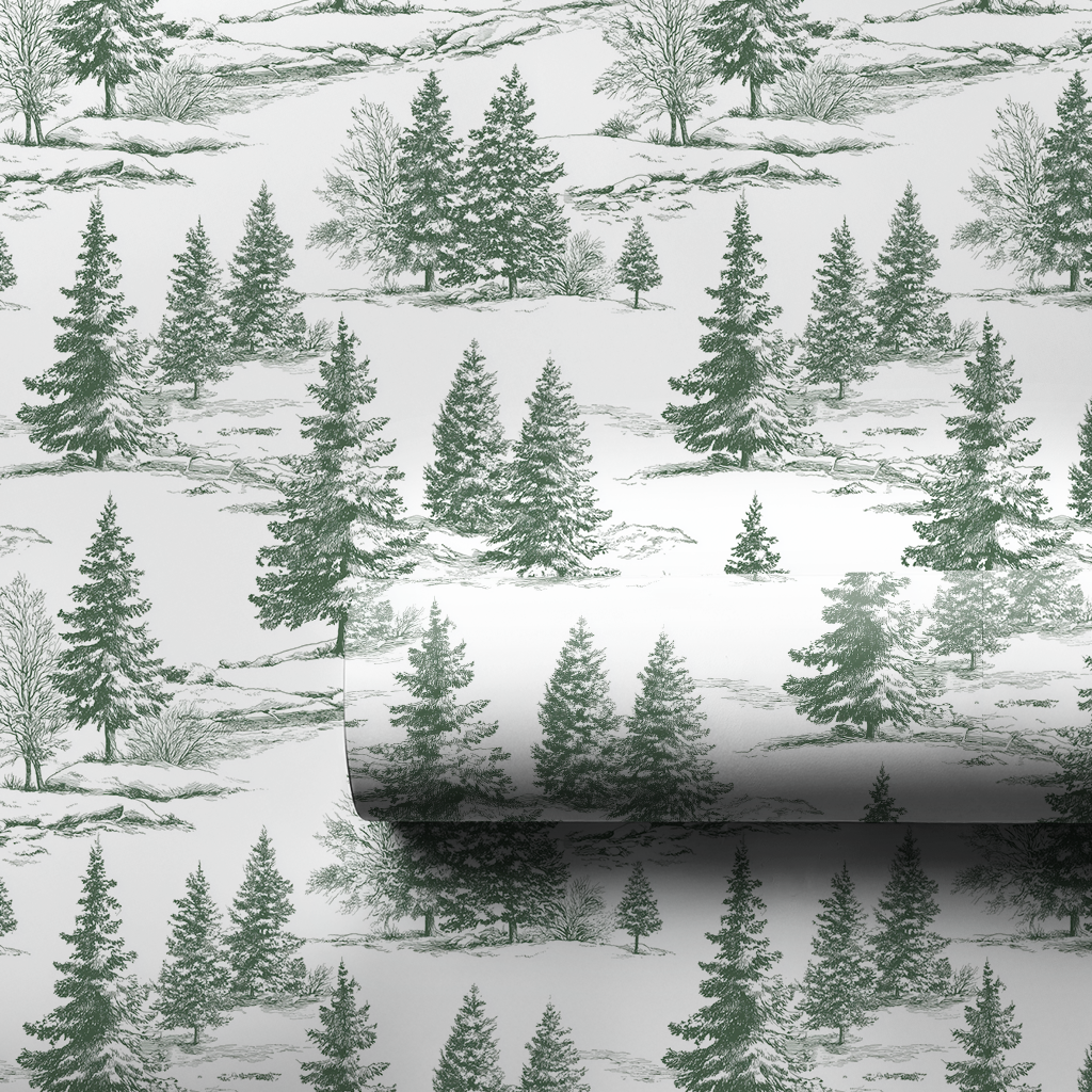 First Snow