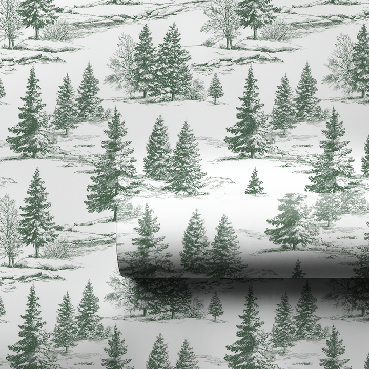 First Snow
