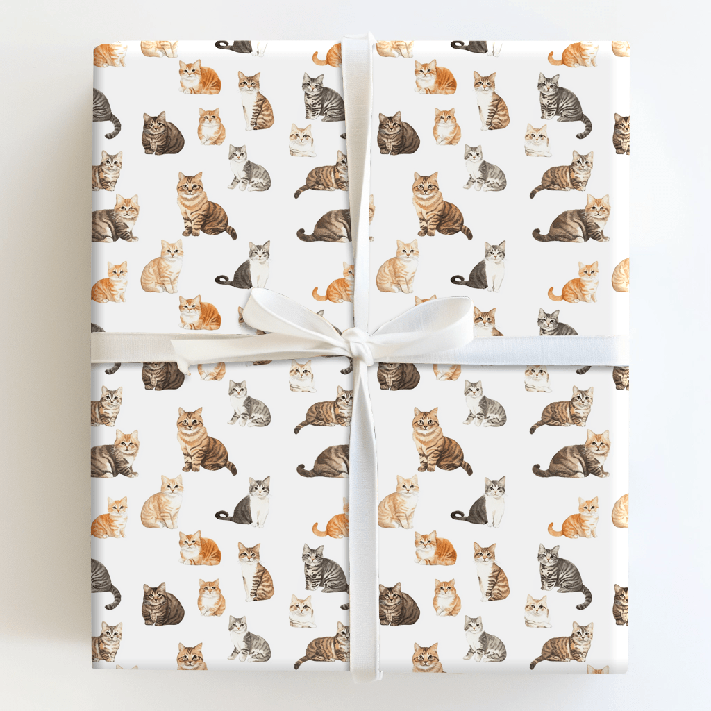 Whiskers - Wrapping Paper - Aspen & Arlo
