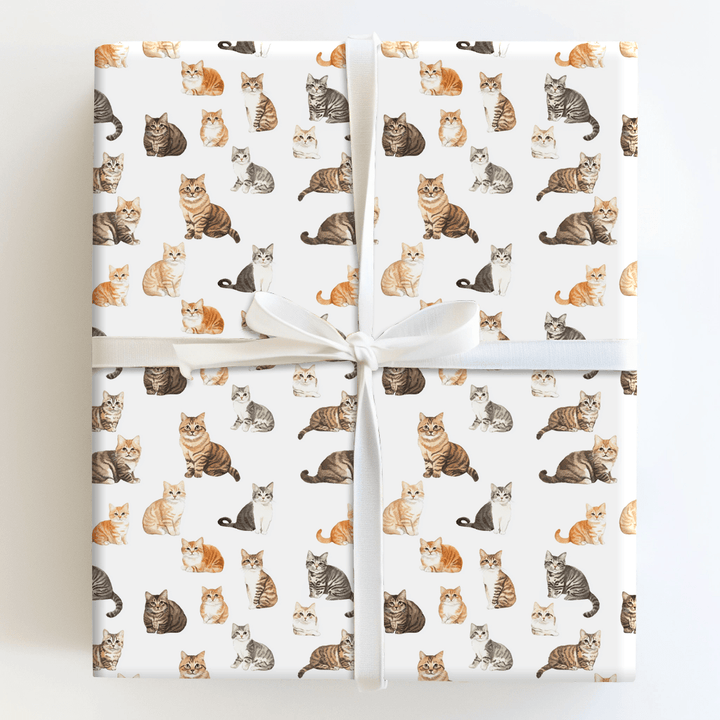 Whiskers - Wrapping Paper - Aspen & Arlo
