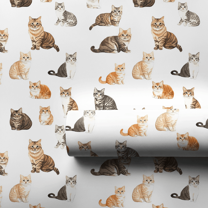 Whiskers - Wrapping Paper - Aspen & Arlo