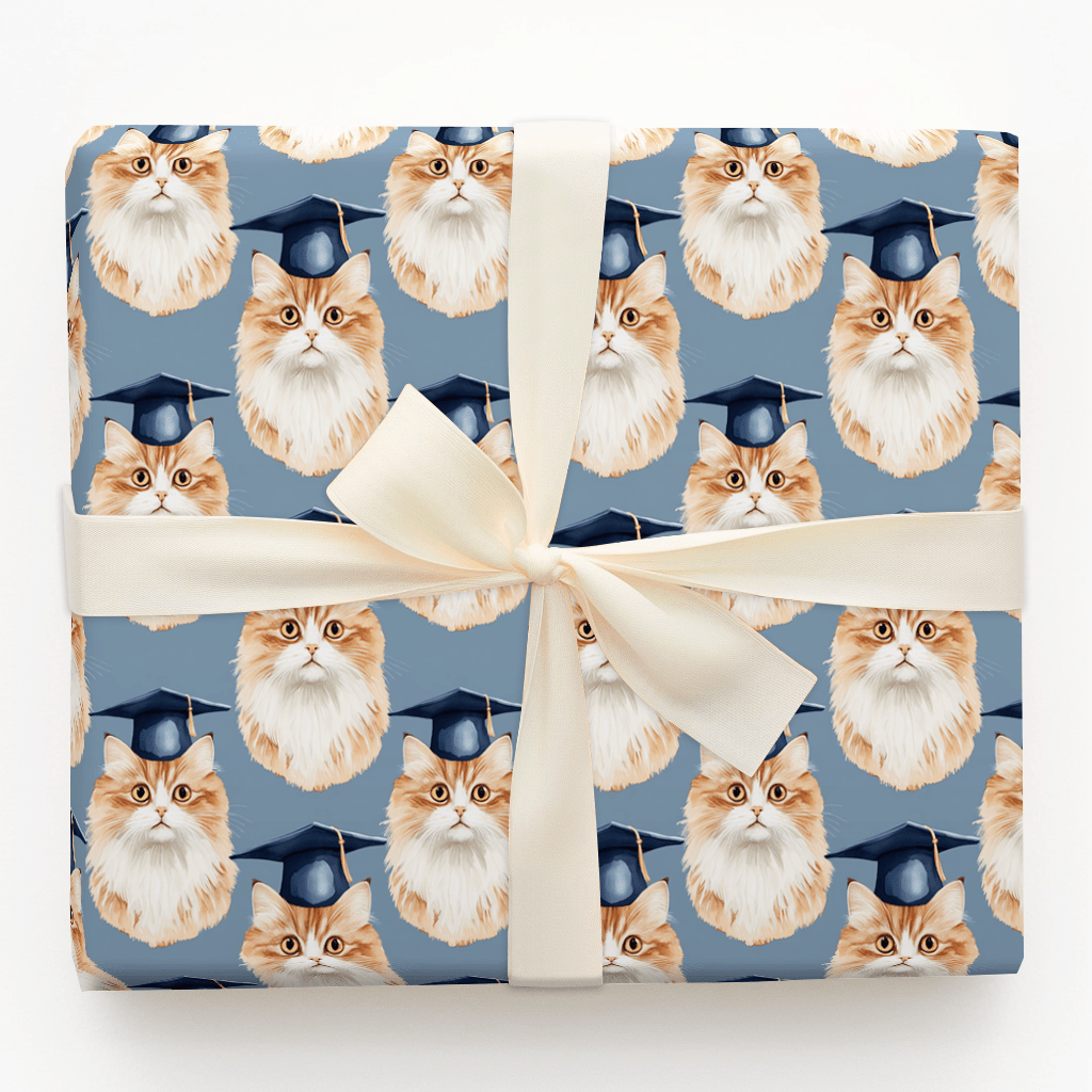 Feline Bright - Wrapping Paper - Aspen & Arlo