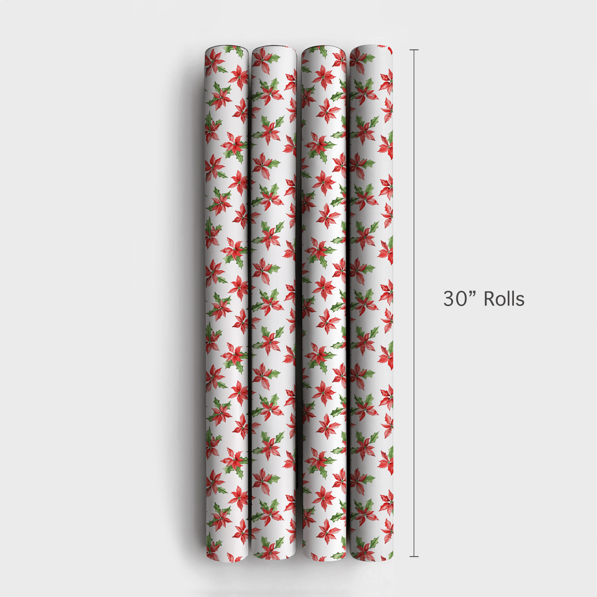 Poinsettia Sprouts - Wrapping Paper - Aspen & Arlo