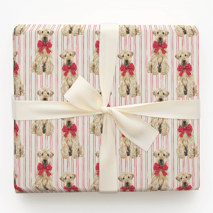 Wheaten Holiday Stripes - Wrapping Paper - Aspen & Arlo