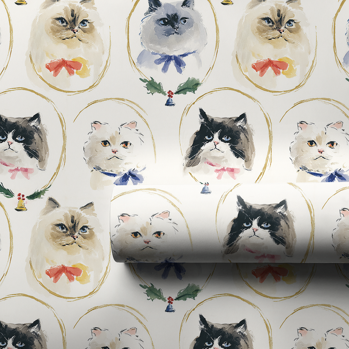 Cat Portraits