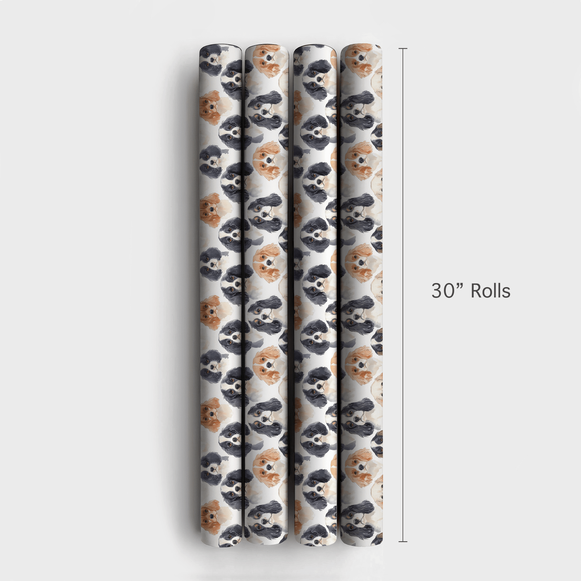Paws of the Palace - Wrapping Paper - Aspen & Arlo