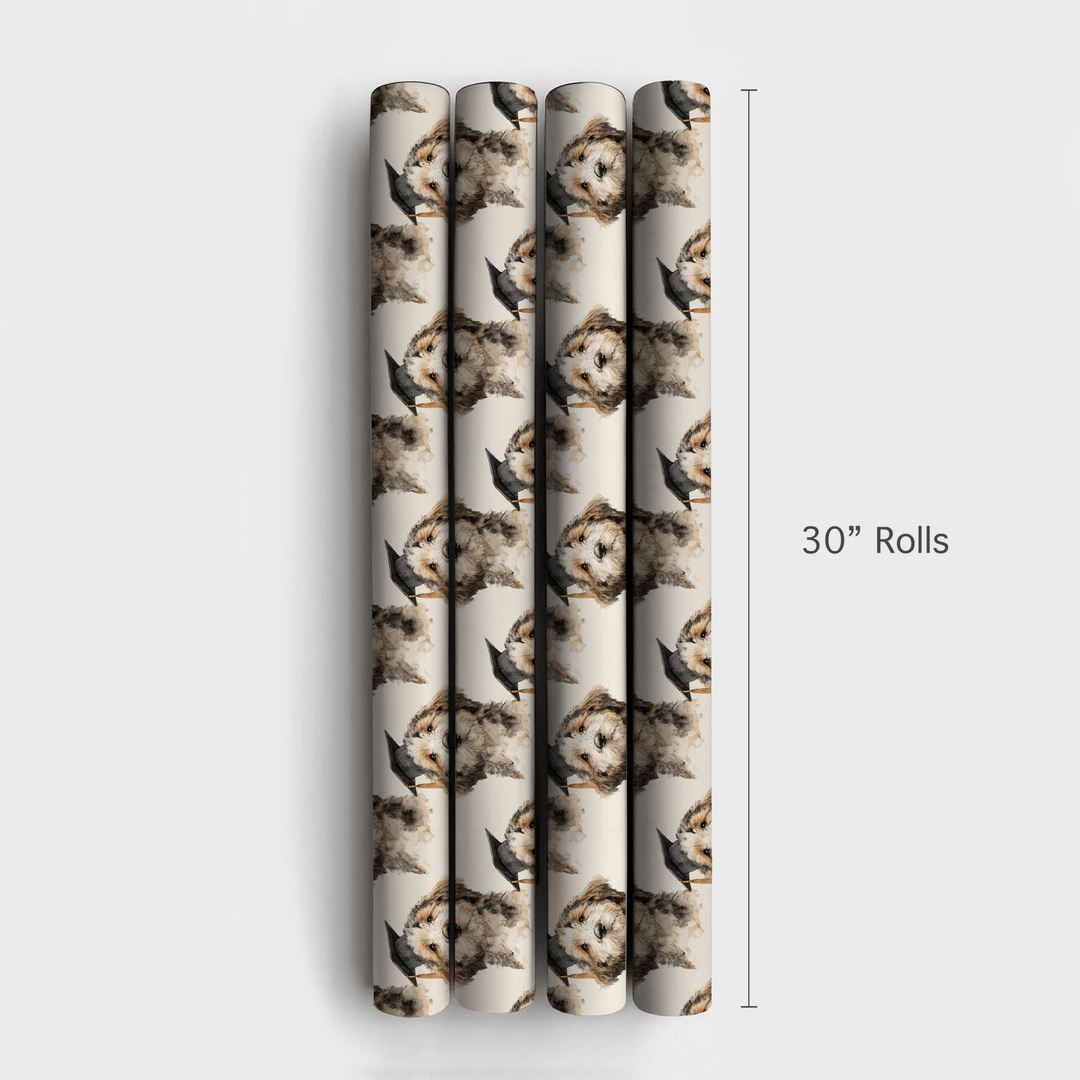 From Ruffs to Riches - Wrapping Paper - Aspen & Arlo