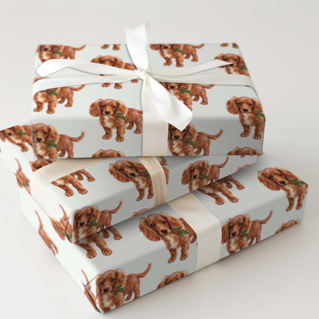 Steves Gift To You