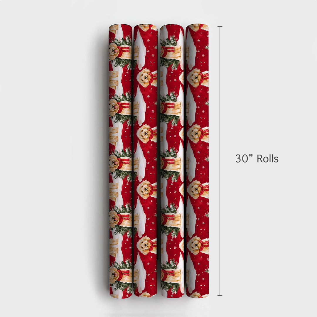 Hardy in Red - 4 Rolls