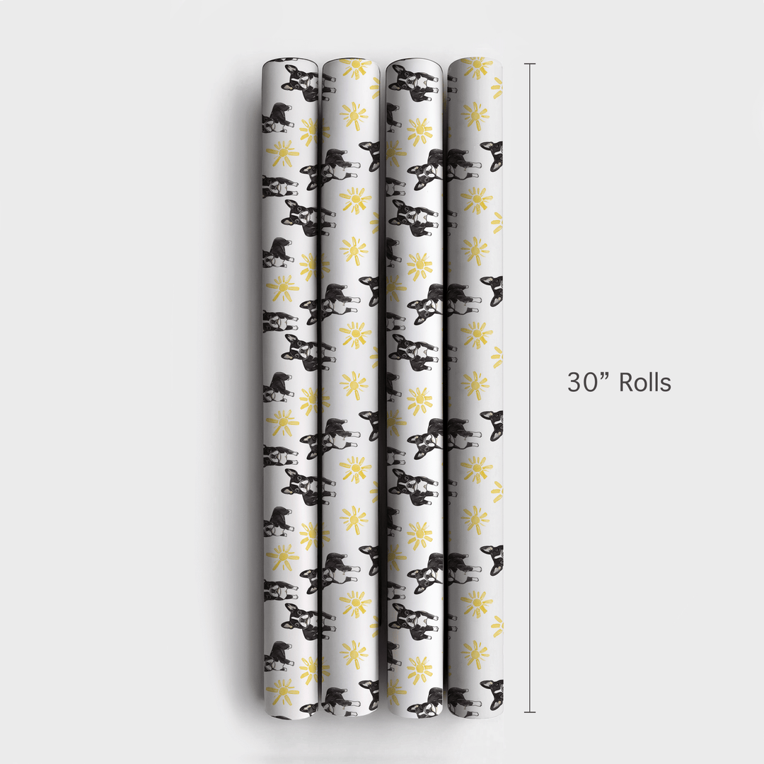 Sunny Day with the Boston Terriers - Wrapping Paper - Aspen & Arlo