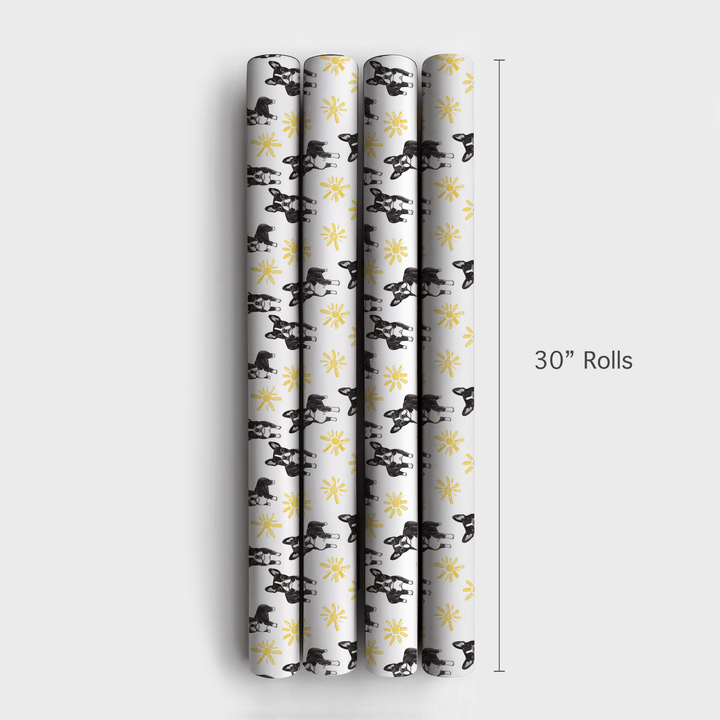 Sunny Day with the Boston Terriers - Wrapping Paper - Aspen & Arlo