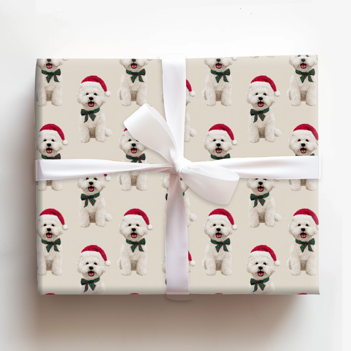 Bichon Holiday Bows