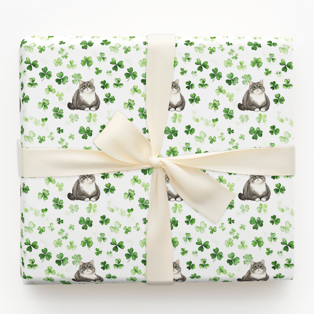 Shamrocks with the British Shorthair - Wrapping Paper - Aspen & Arlo
