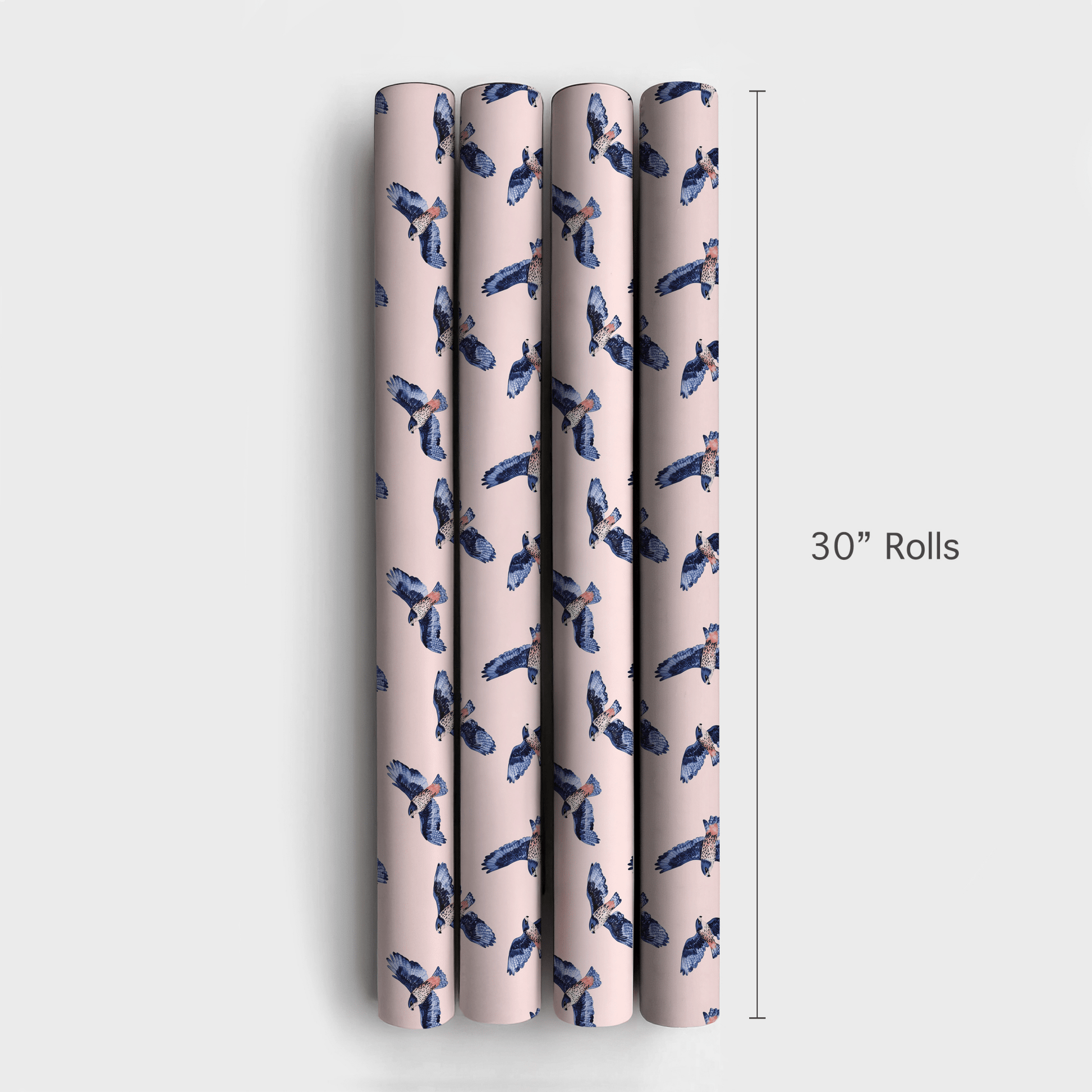 Rise On The Wing - Wrapping Paper - Aspen & Arlo