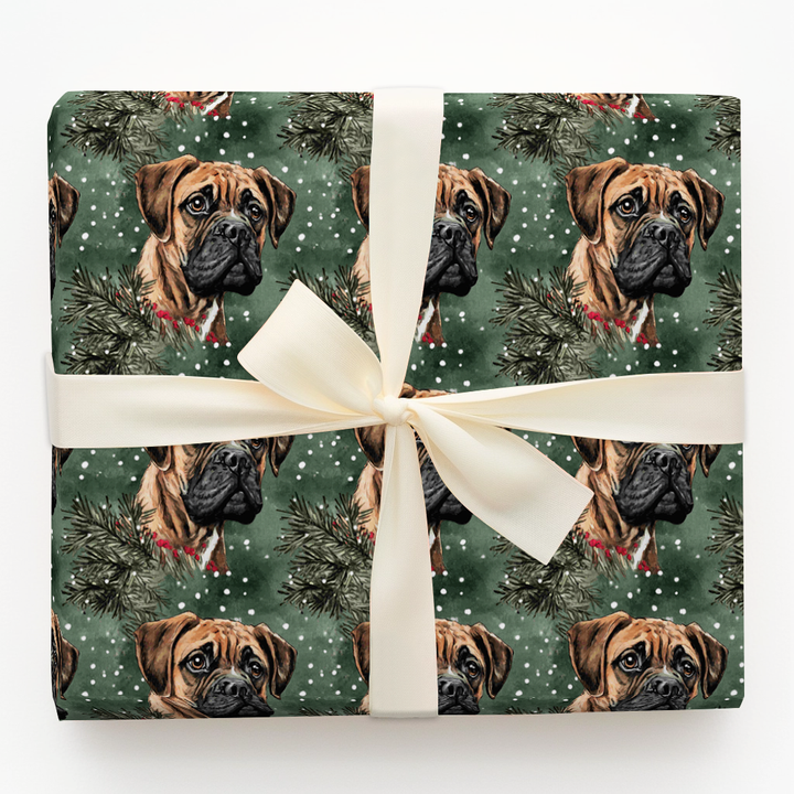 Bullmastiff in Green
