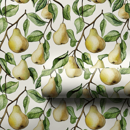 Melissa's Pears - Wrapping Paper - Aspen & Arlo