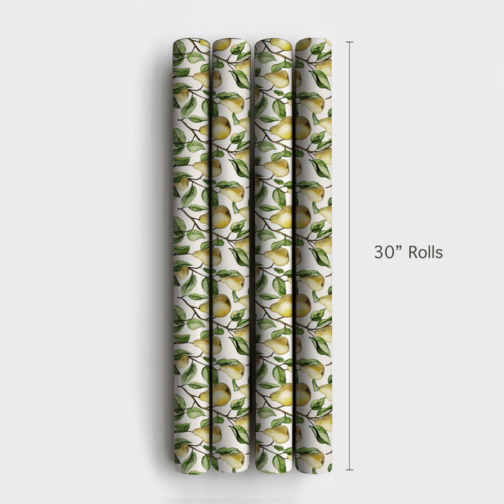 Melissa's Pears - Wrapping Paper - Aspen & Arlo