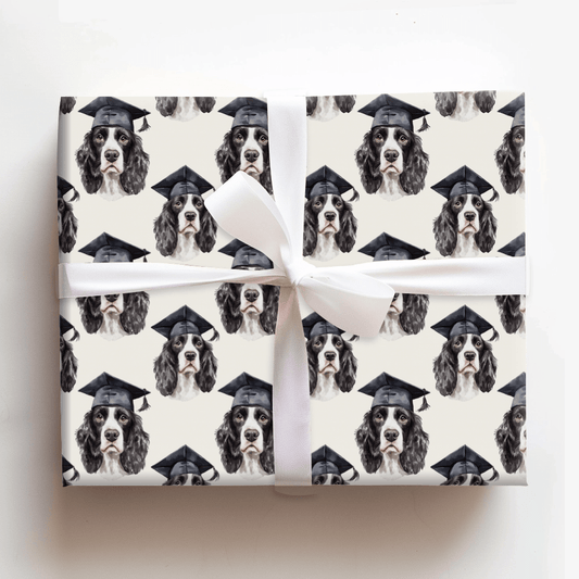 Springer Spaniel Graduate - Wrapping Paper - Aspen & Arlo
