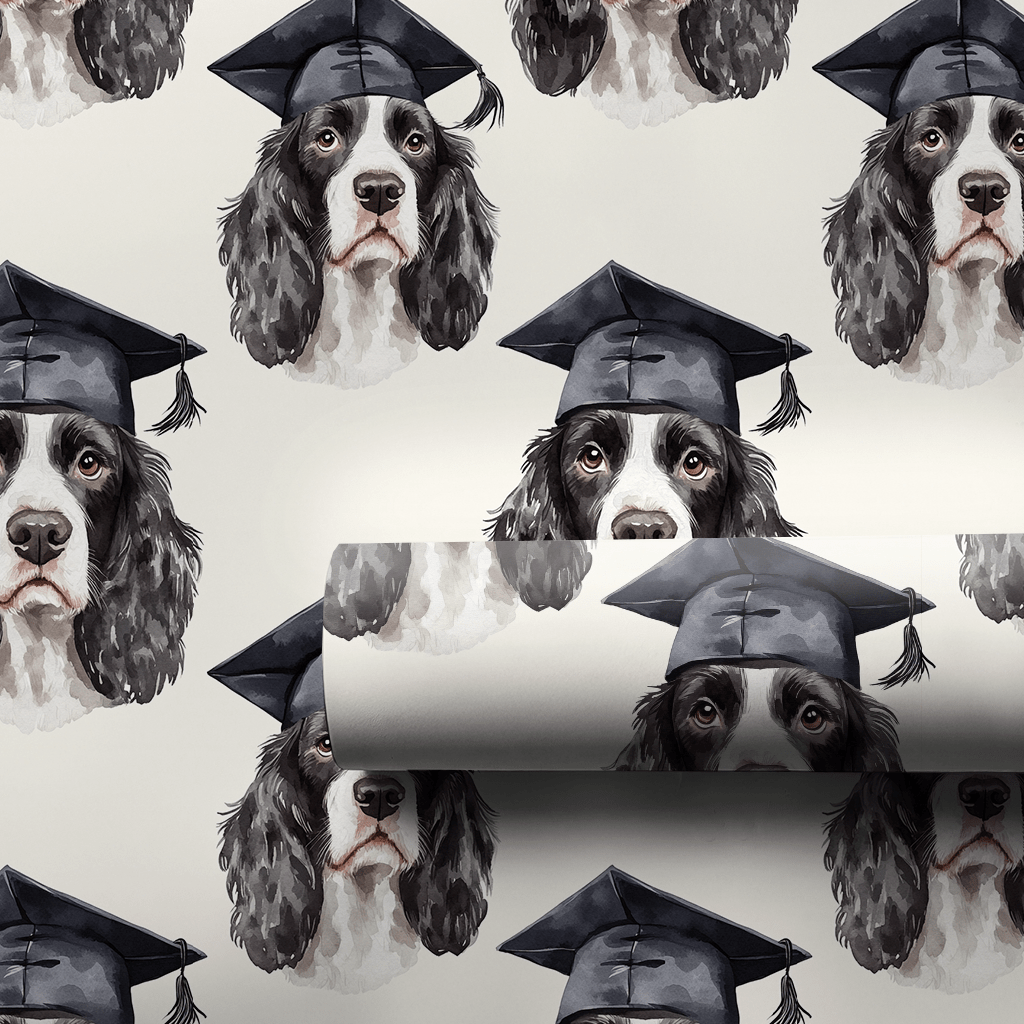 Springer Spaniel Graduate - Wrapping Paper - Aspen & Arlo