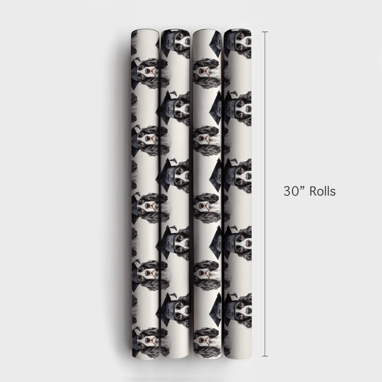 Springer Spaniel Graduate - Wrapping Paper - Aspen & Arlo