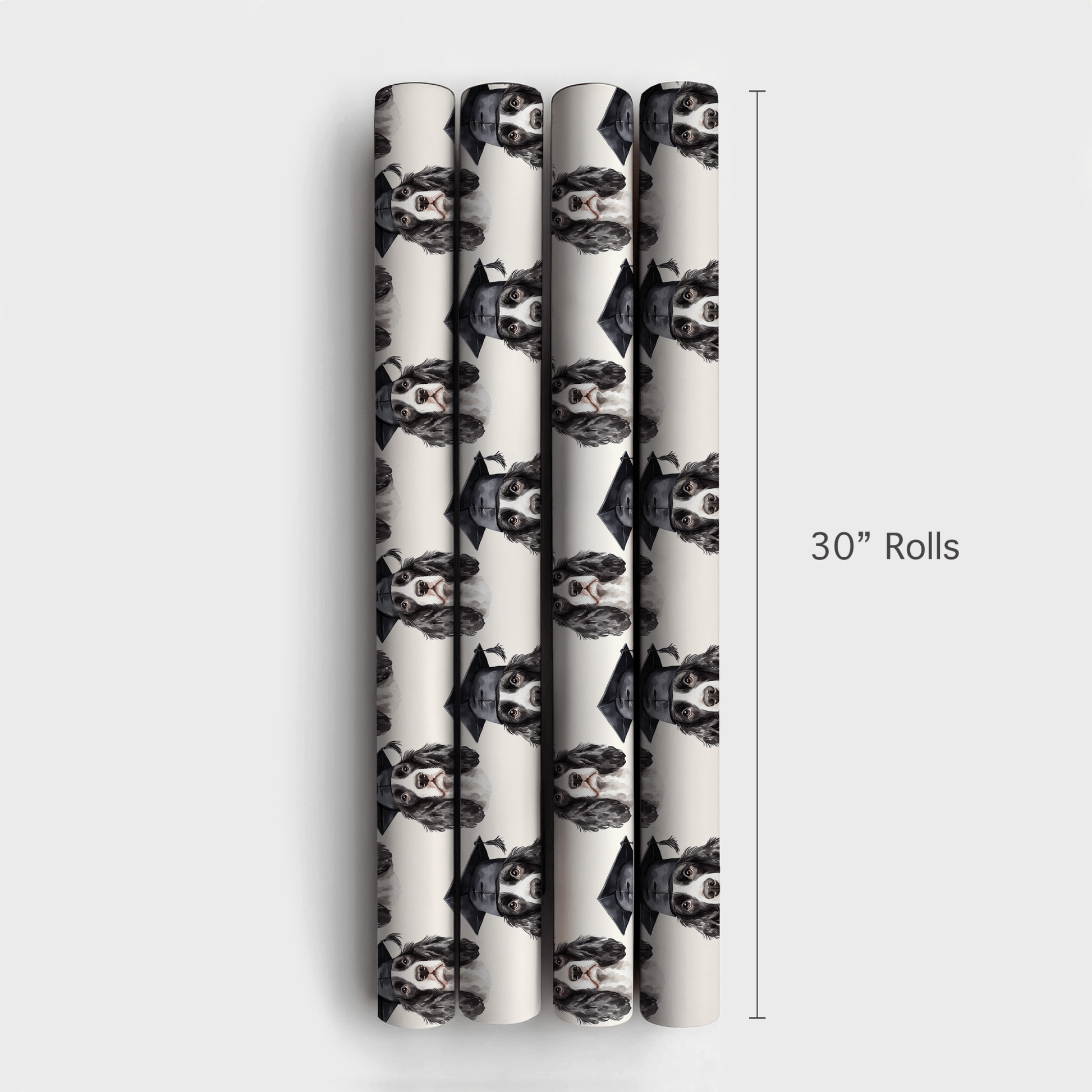 Springer Spaniel Graduate - Wrapping Paper - Aspen & Arlo