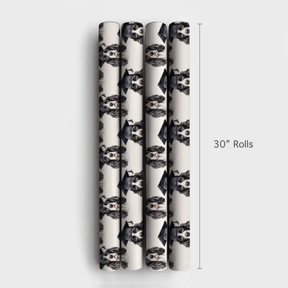 Springer Spaniel Graduate - Wrapping Paper - Aspen & Arlo