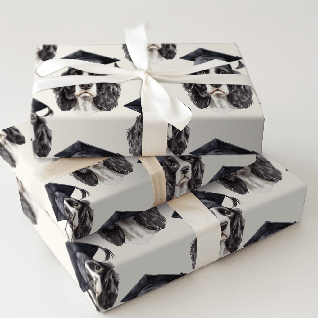 Springer Spaniel Graduate - Wrapping Paper - Aspen & Arlo