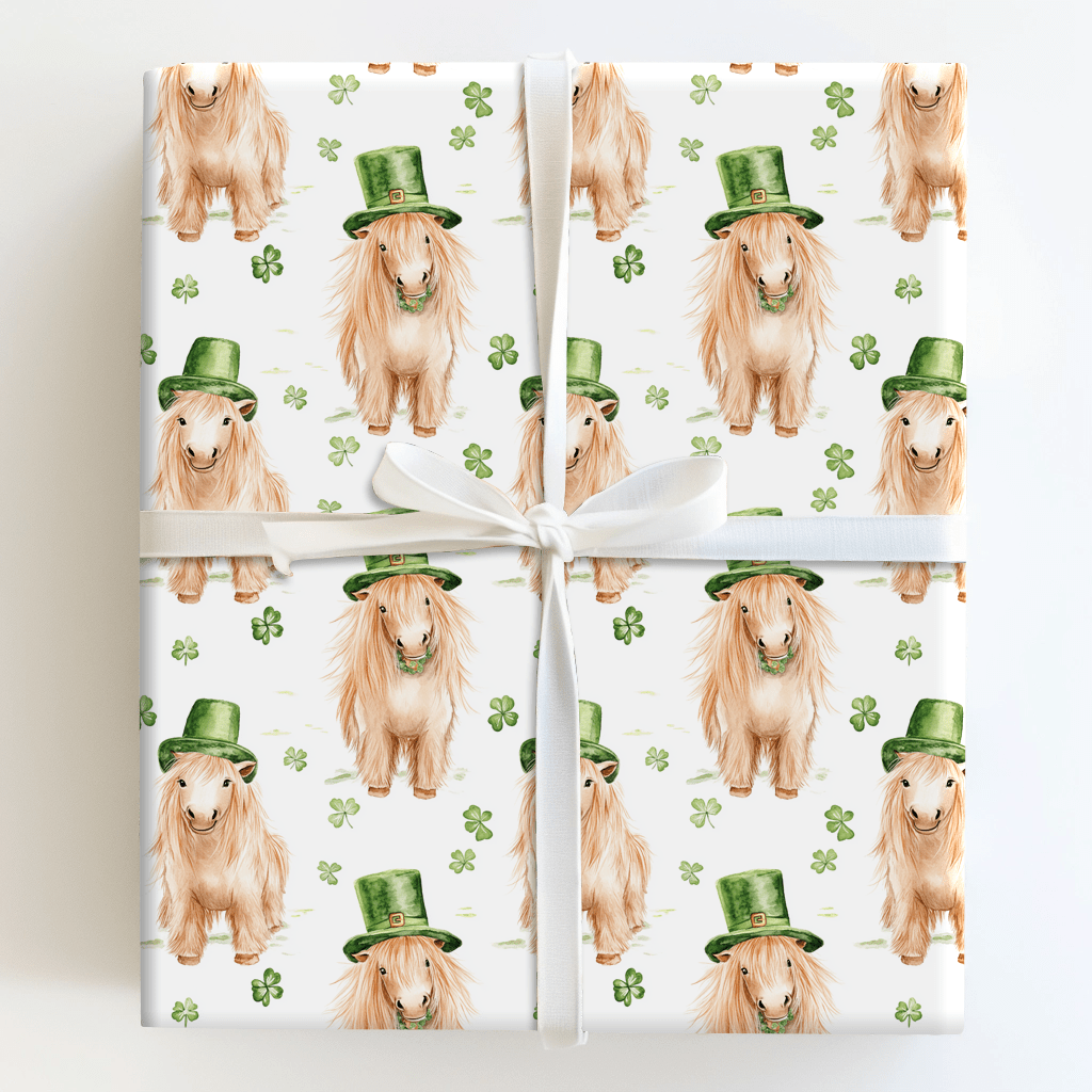 Leprechaun Shetland Pony - Wrapping Paper - Aspen & Arlo