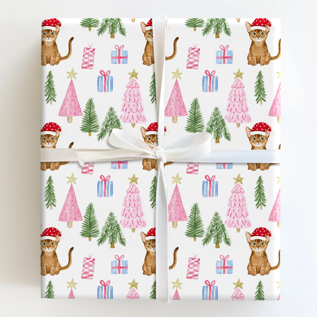 Abyssinian at Christmas