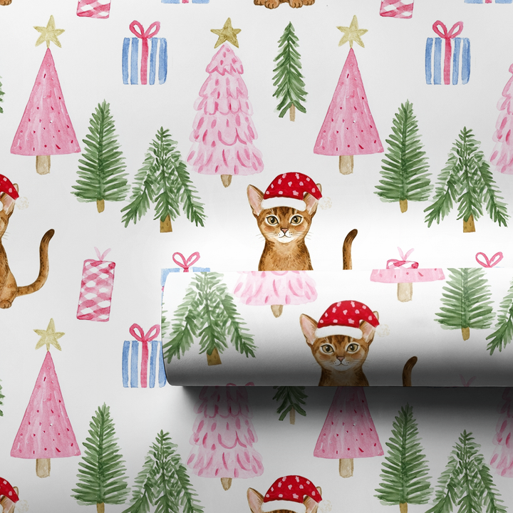 Abyssinian at Christmas
