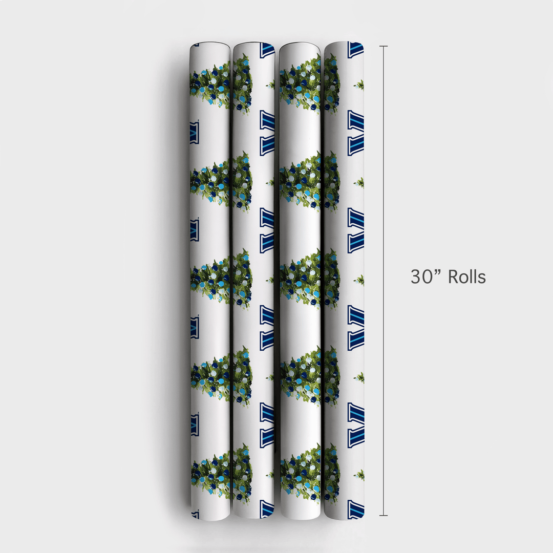 Nova Spruce - Wrapping Paper - Aspen & Arlo