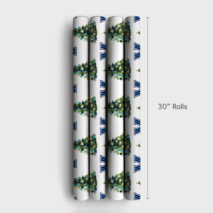 Nova Spruce - Wrapping Paper - Aspen & Arlo