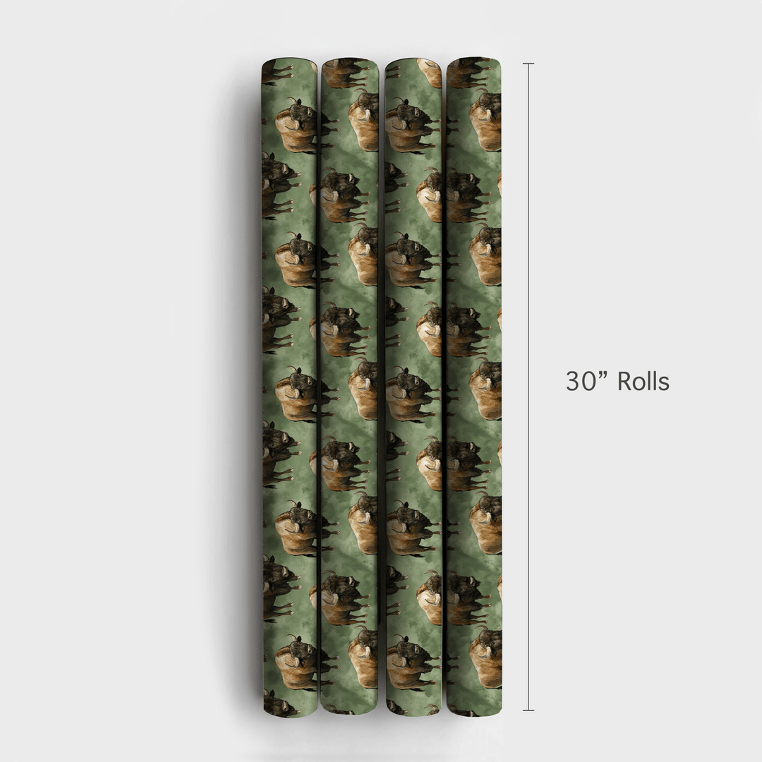 Expanse and Star - Wrapping Paper - Aspen & Arlo