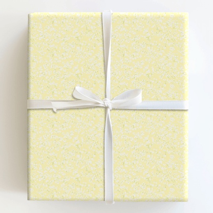 Honeyed Lace - Wrapping Paper - Aspen & Arlo