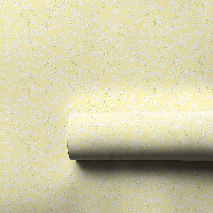 Honeyed Lace - Wrapping Paper - Aspen & Arlo