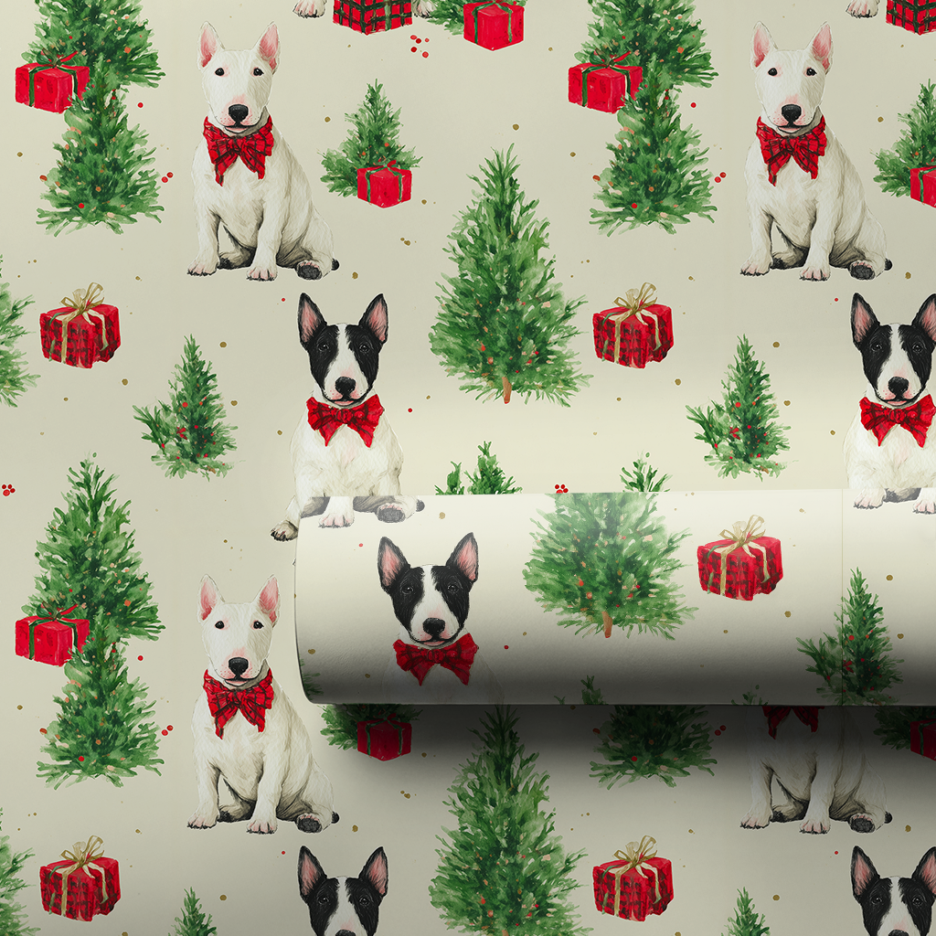 Bull Terriers for Christmas