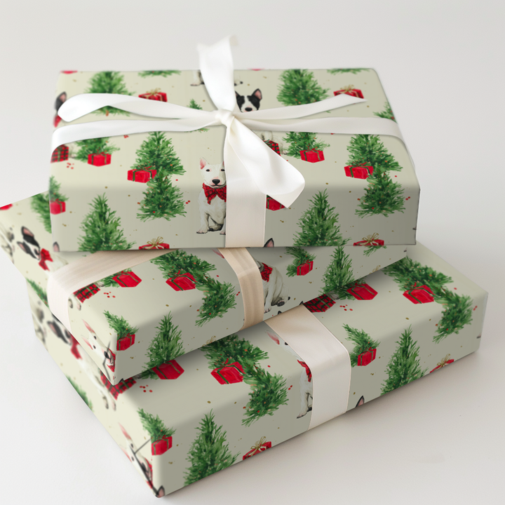 Bull Terriers for Christmas