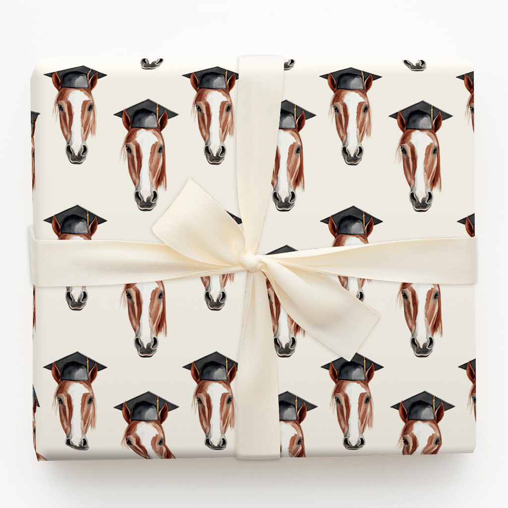 American Paint Graduate - Wrapping Paper - Aspen & Arlo
