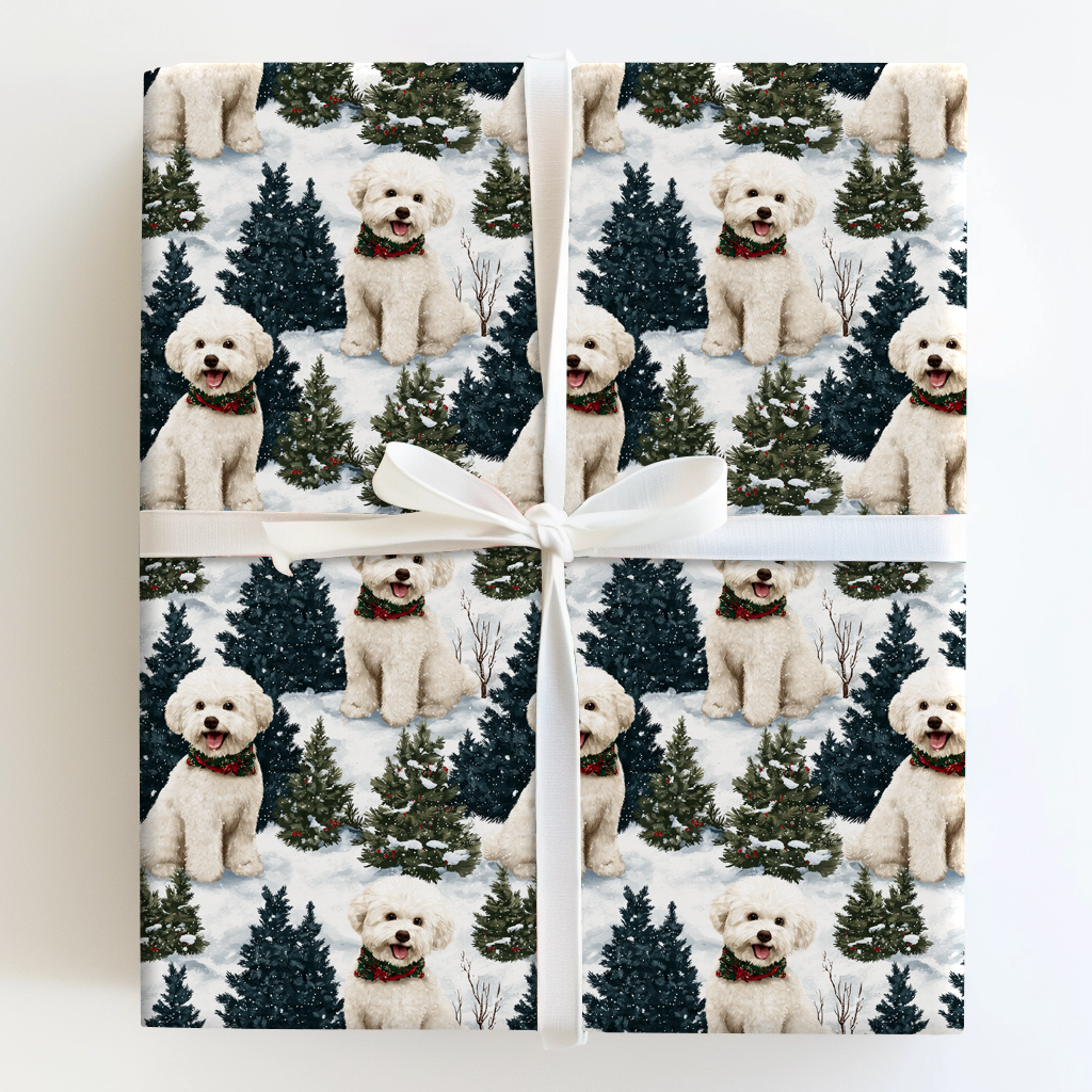 Snow Day for Bichon