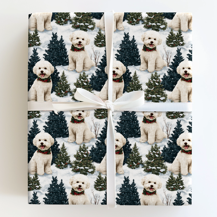 Snow Day for Bichon