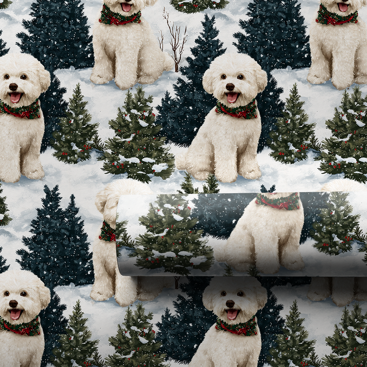 Snow Day for Bichon
