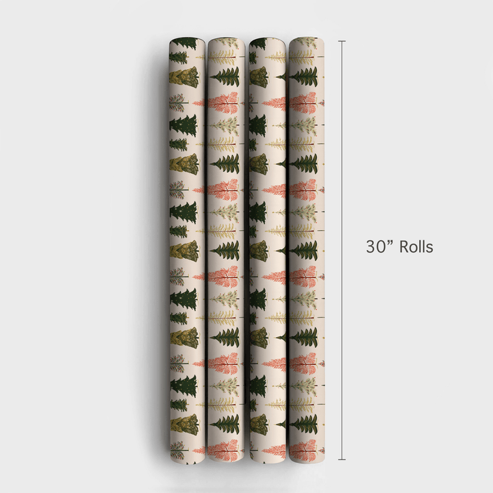 Skinny Tall Christmas - Wrapping Paper - Aspen & Arlo