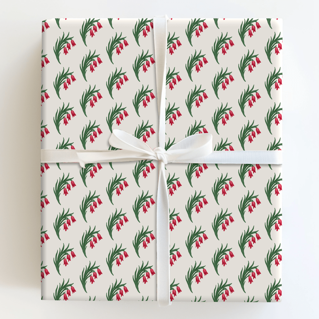 Amber Amaryllis - Wrapping Paper - Aspen & Arlo
